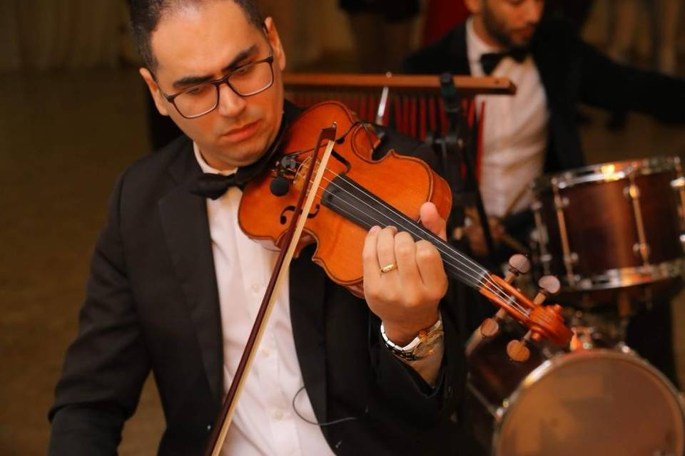 Violino Uníssono