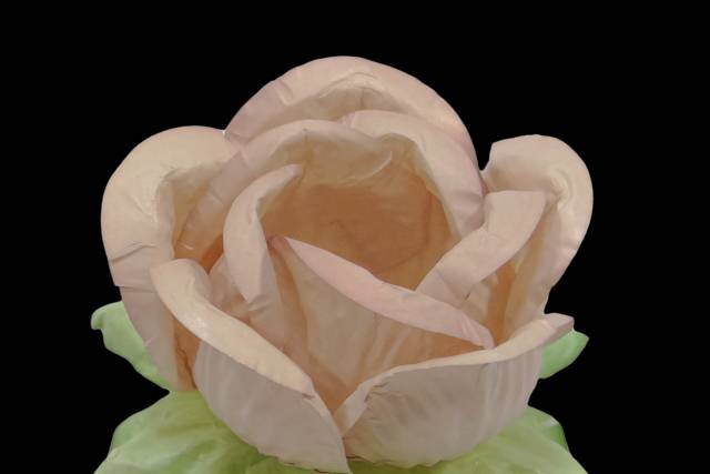 Forminhas de papel