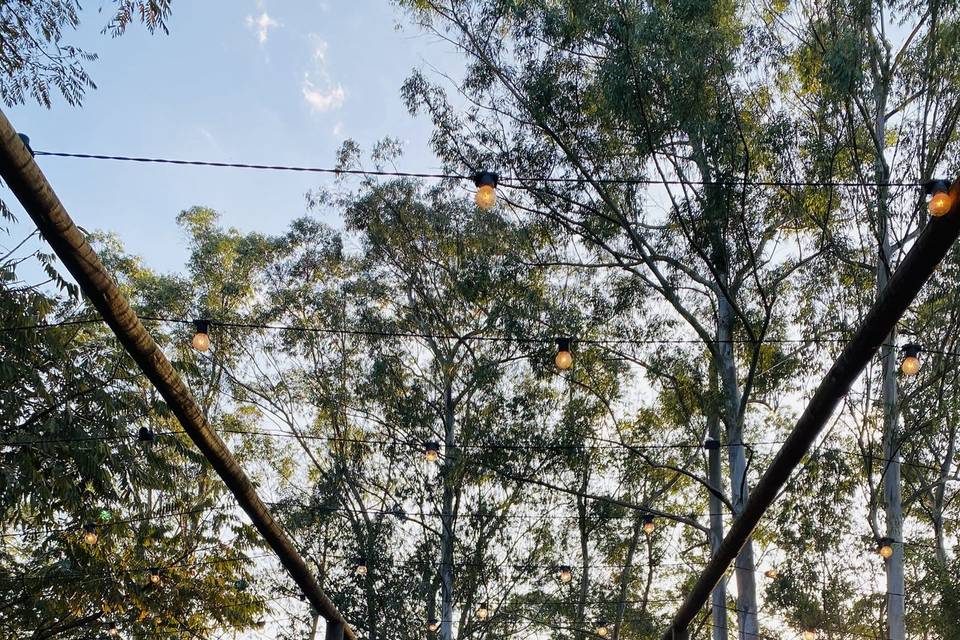 Musica ao vivo de casamento