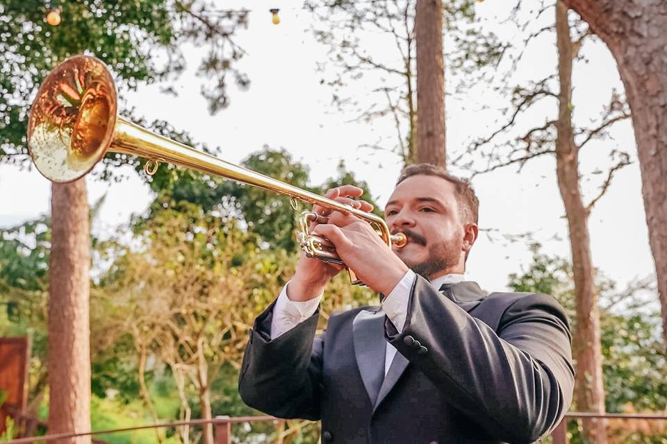 Musica ao vivo de casamento