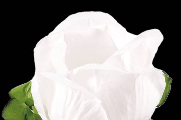 Forminhas de papel