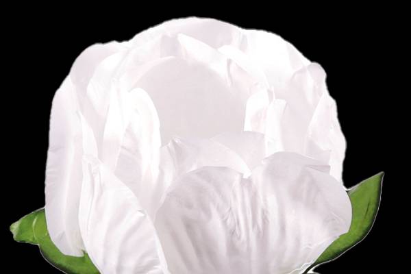 Forminhas de papel