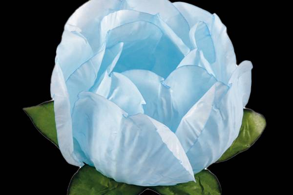 Forminhas de papel