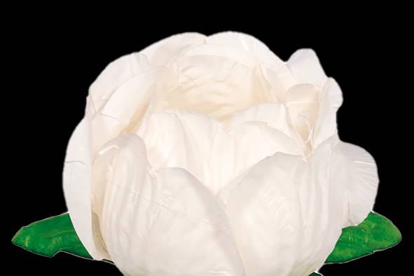 Forminhas de papel