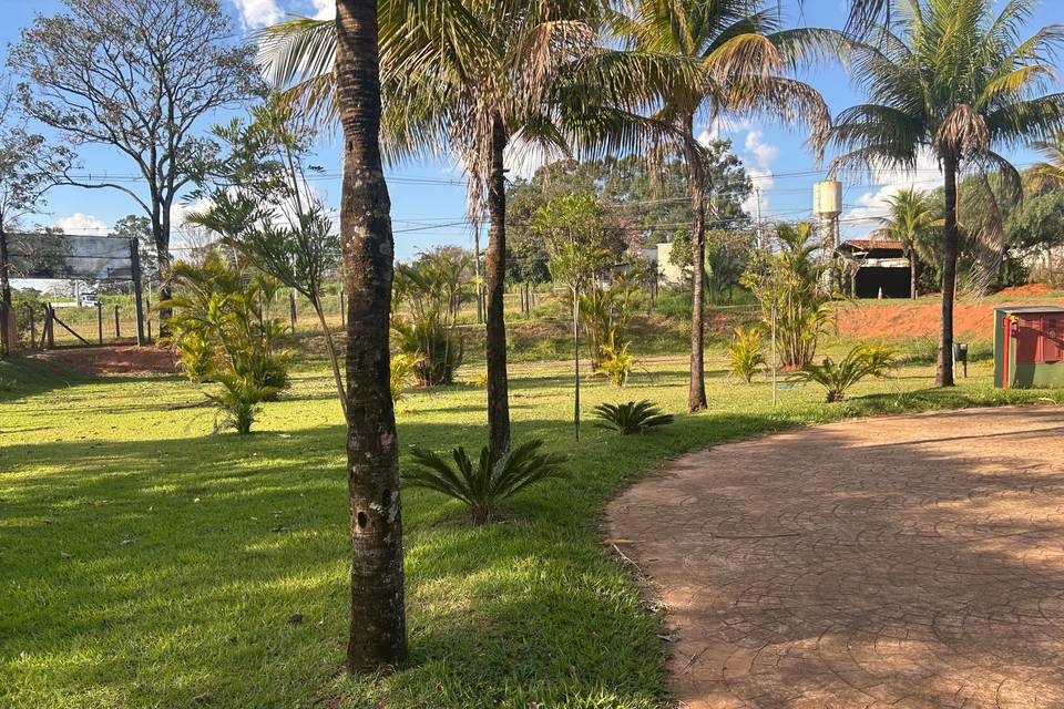 Area externa