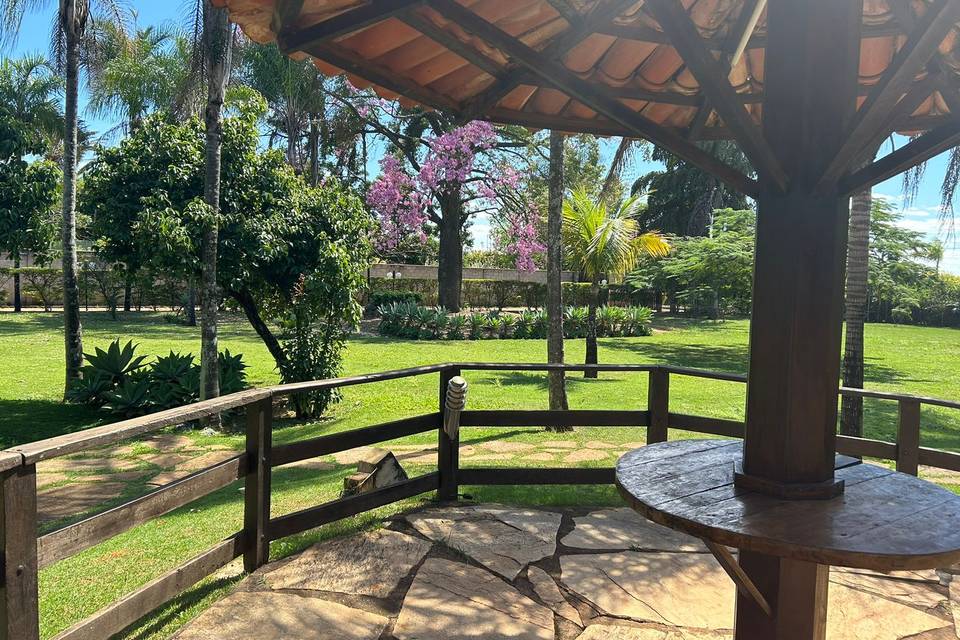 Vista da piscina para o jardim