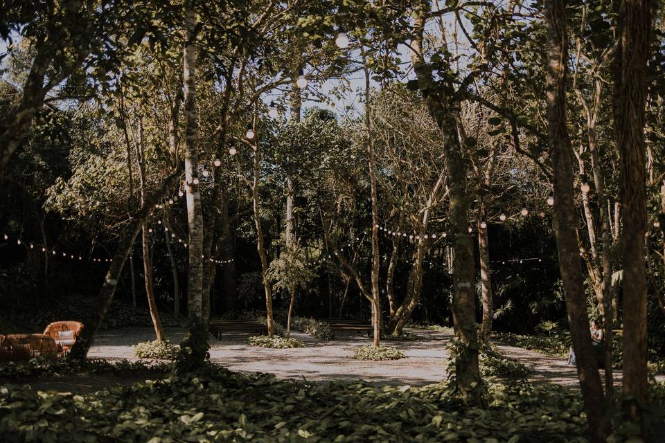 Bosque