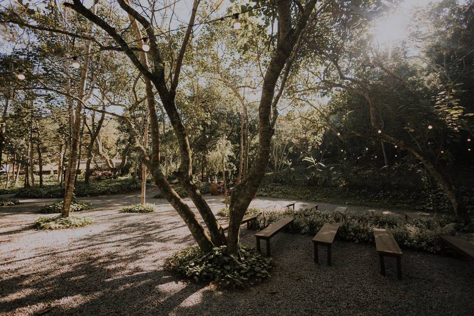 Bosque