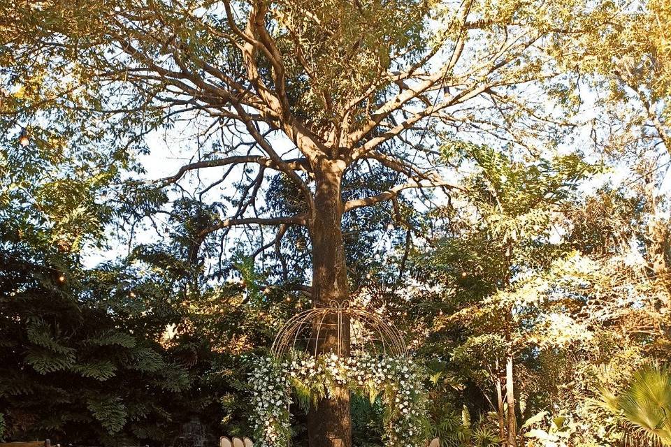 Área verde para cerimônia