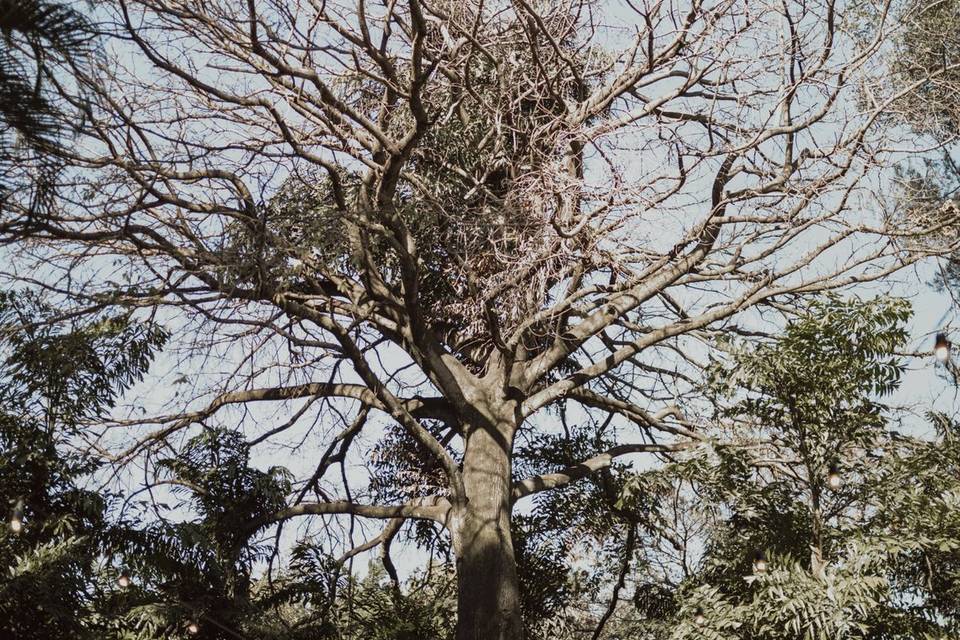 Espaço Verde Onoyama