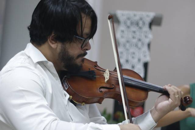 Violino
