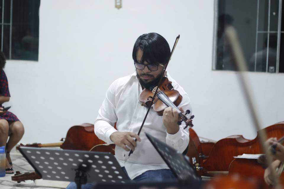 Violino