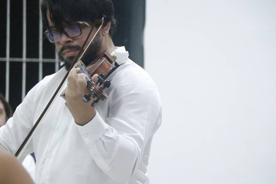 Violino