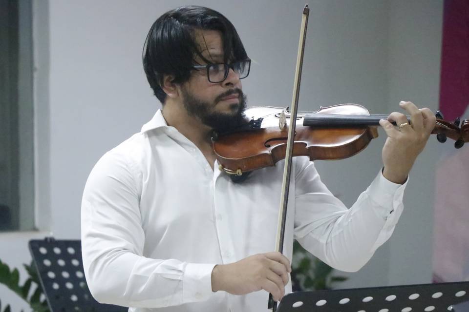 Violino solo