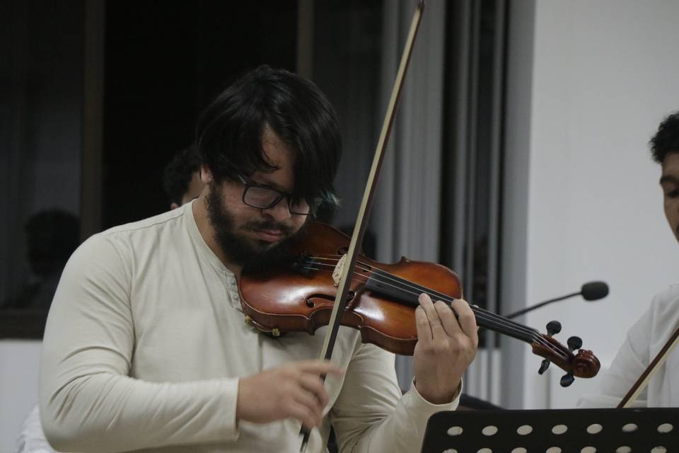 Violino