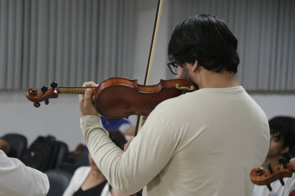 Violino