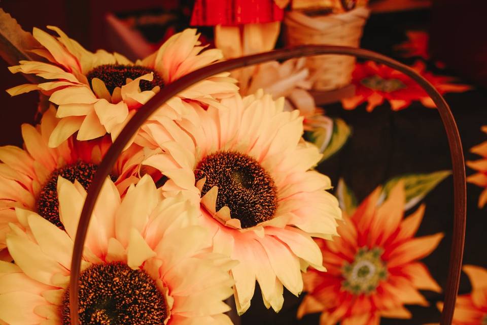 Festa Junina - Velsis