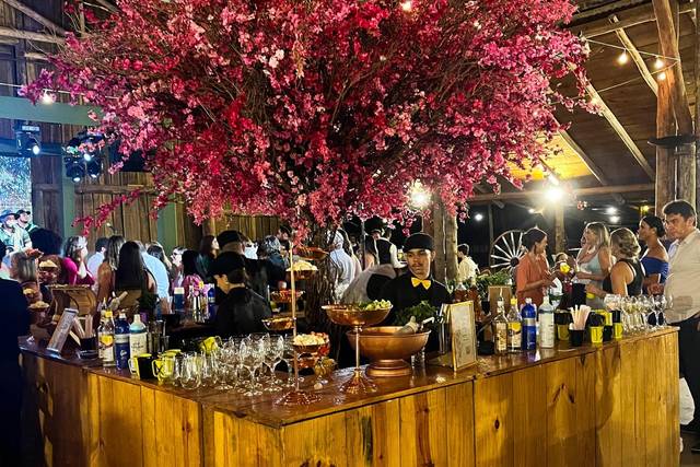 Bar em Ilha completo