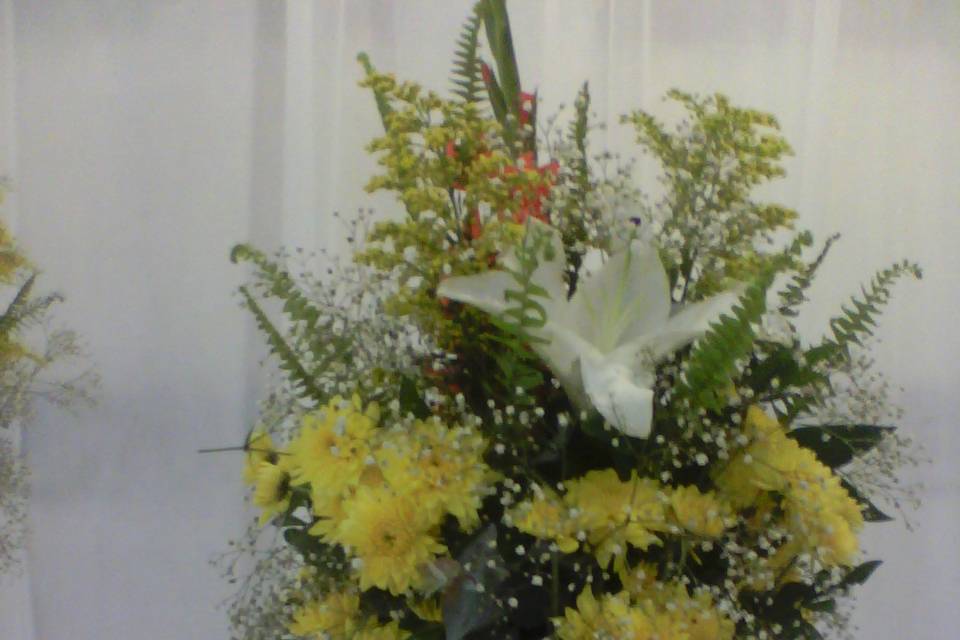 Flores naturais