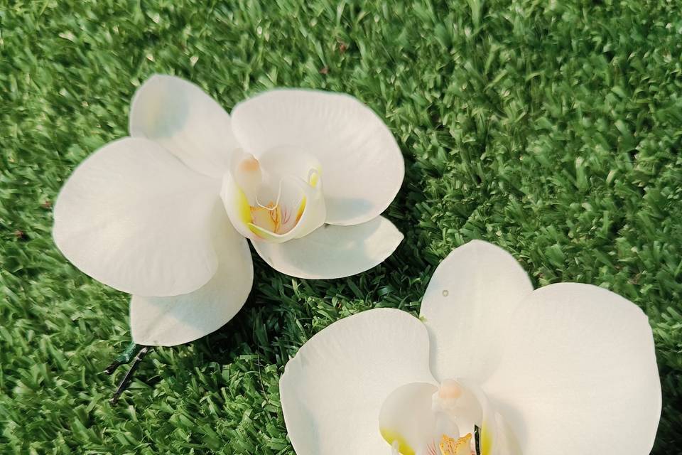 Orquídeas para cabelo