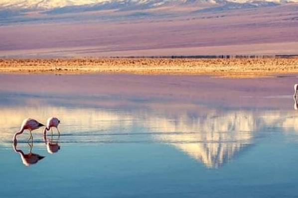 Deserto do Atacama