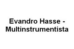 Evandro Hasse - Multinstrumentista