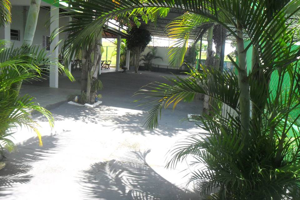 Ambiente decorado de palmeiras