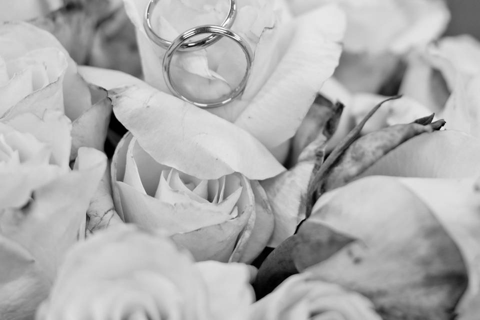 Believi Focus Fotografia