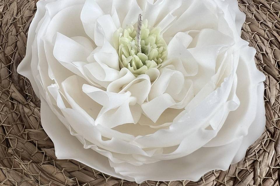 Aromas exclusivos