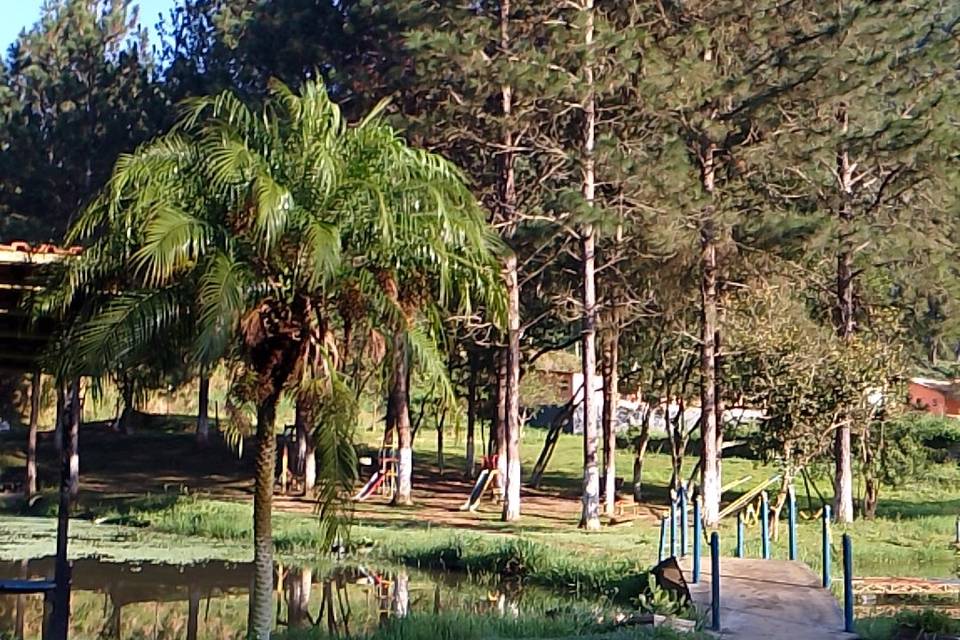 Natureza