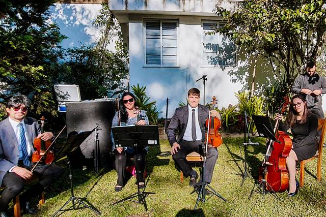 Quarteto de Cordas
