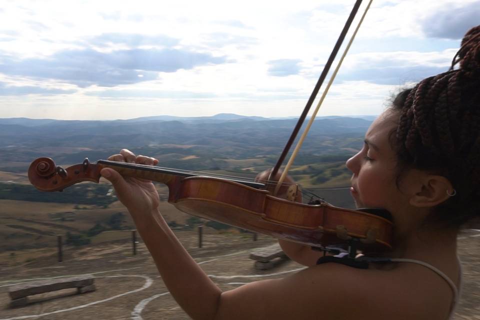 Violino