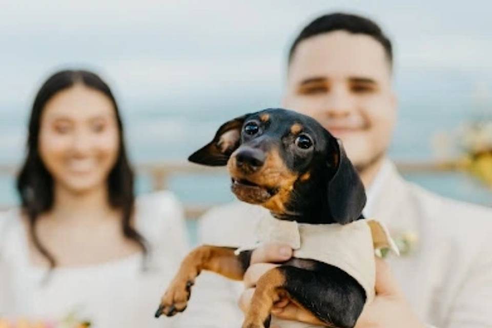 Bruna e Felipe