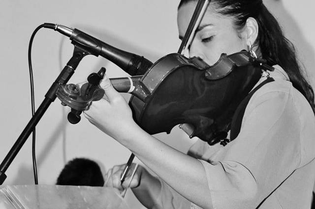 Violino