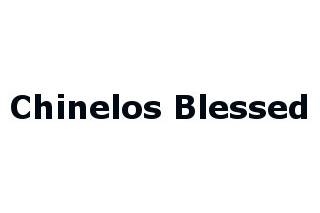 Chinelos Blessed logo