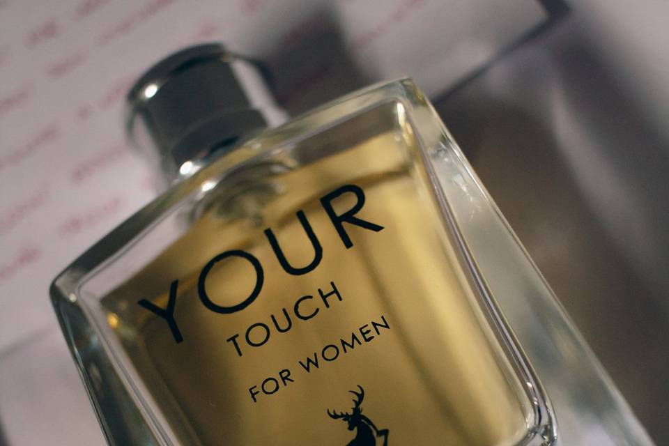 Impact Photo Studio SJC