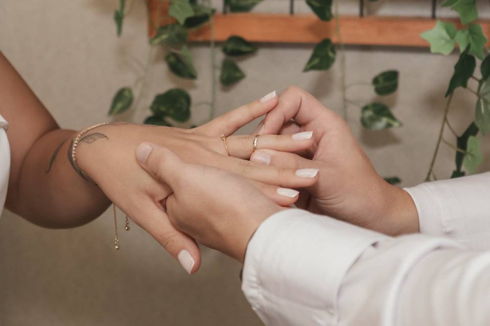 Impact Photo Studio SJC