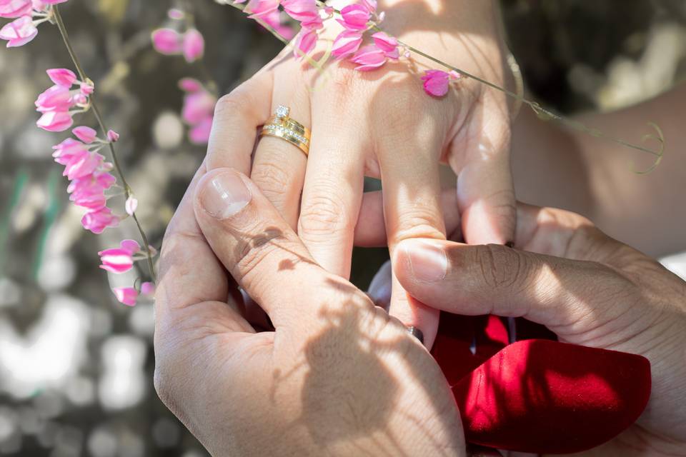 Impact Photo Studio SJC