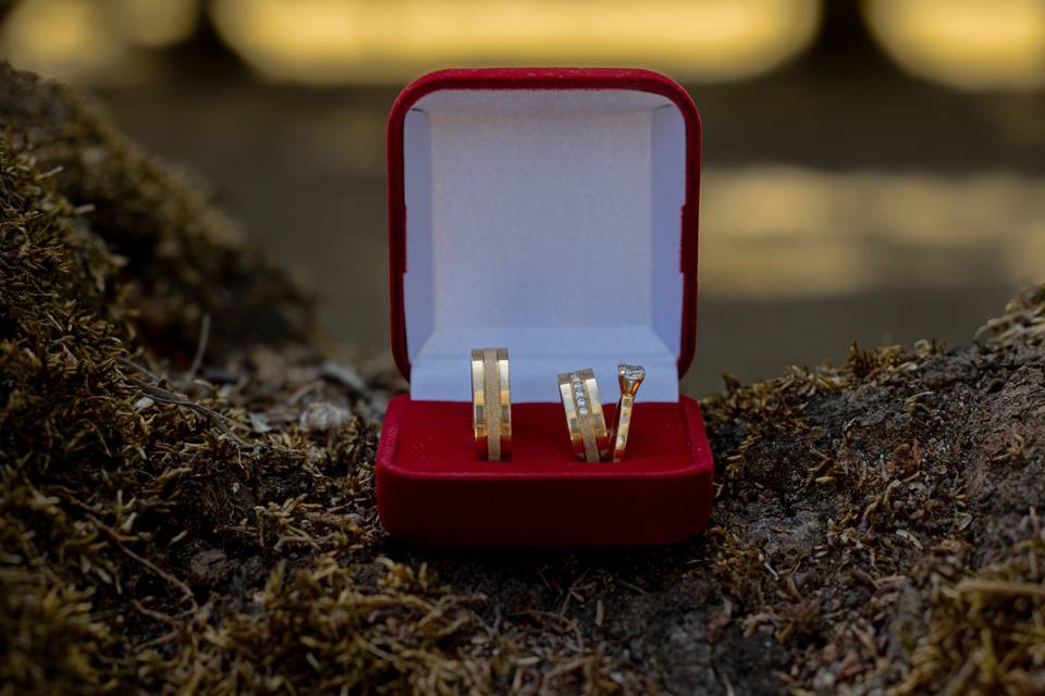 Impact Photo Studio SJC