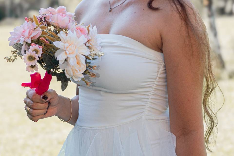 Impact Photo Studio SJC