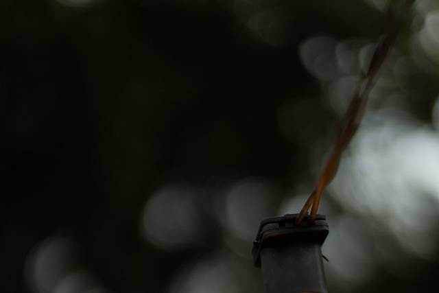 Detalhes