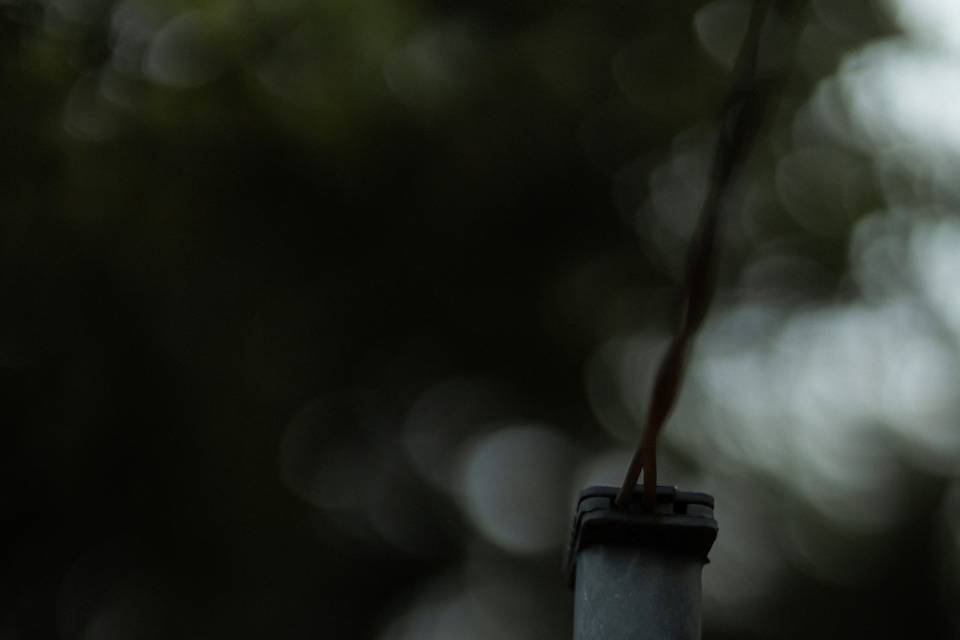 Detalhes