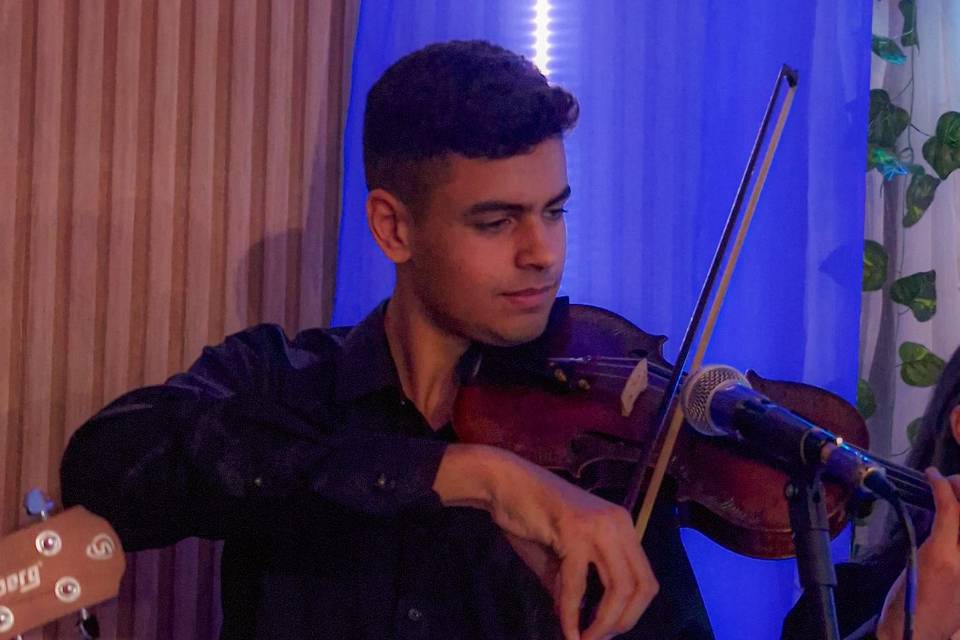 Violino