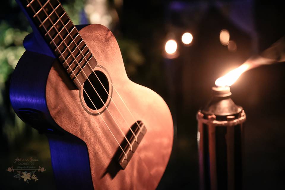 Casamento em Ubatuba-Papillon