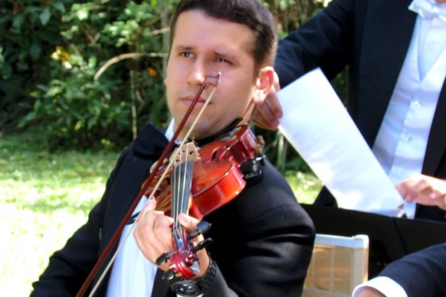 Violino Solo