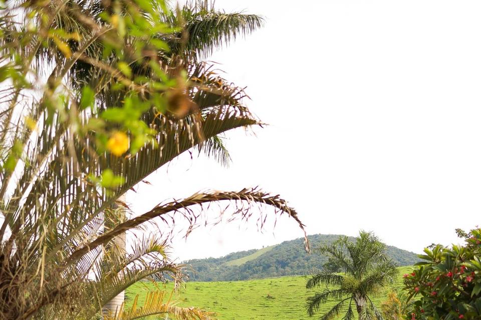 Vista entrada
