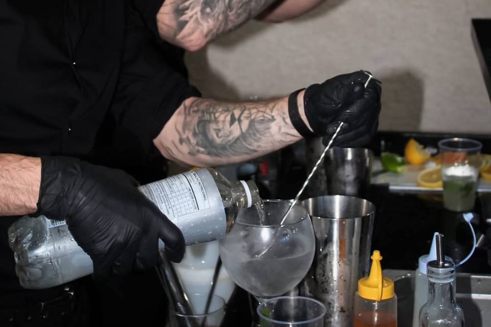 Bartenders profissionais