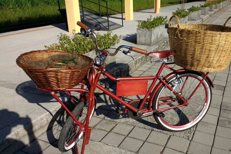 Bicicleta vintage / retrô