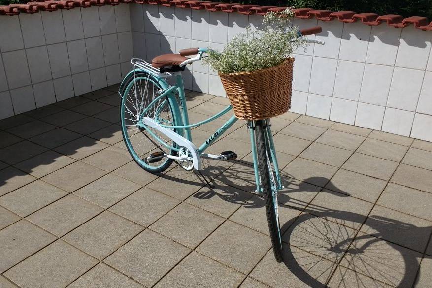 Bicicleta vintage / retrô