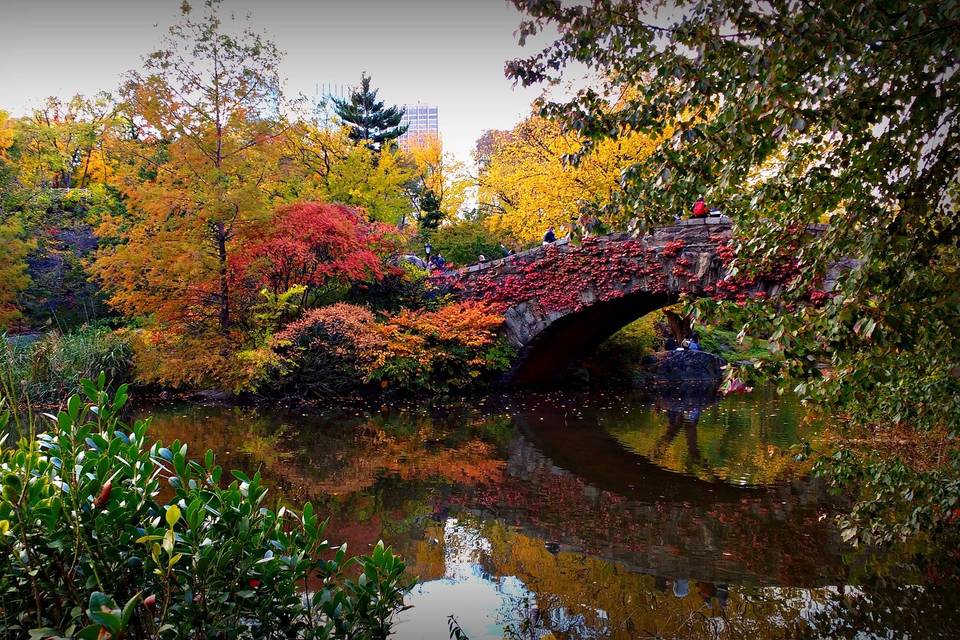 Central Park - NY